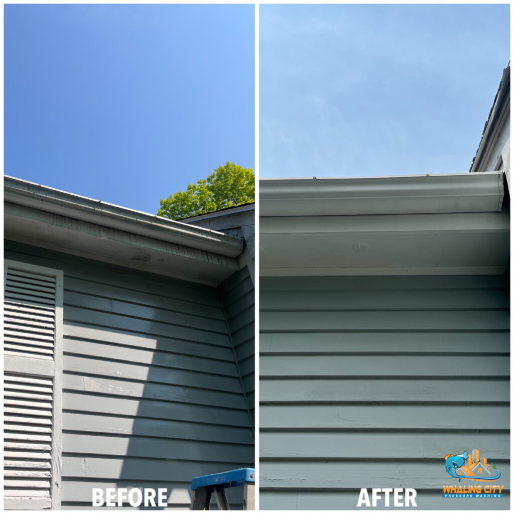 Gutter Cleaning Before/After