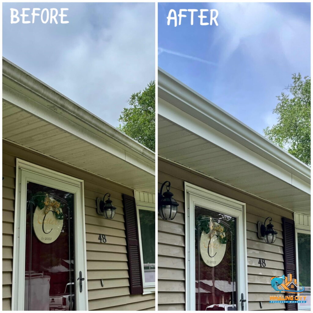 Gutter Cleaning Before/After