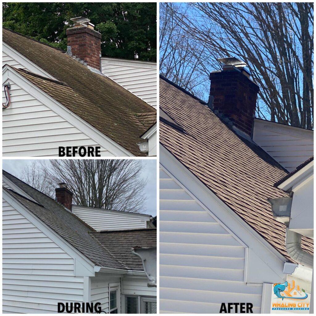 Roof Washing Before/After