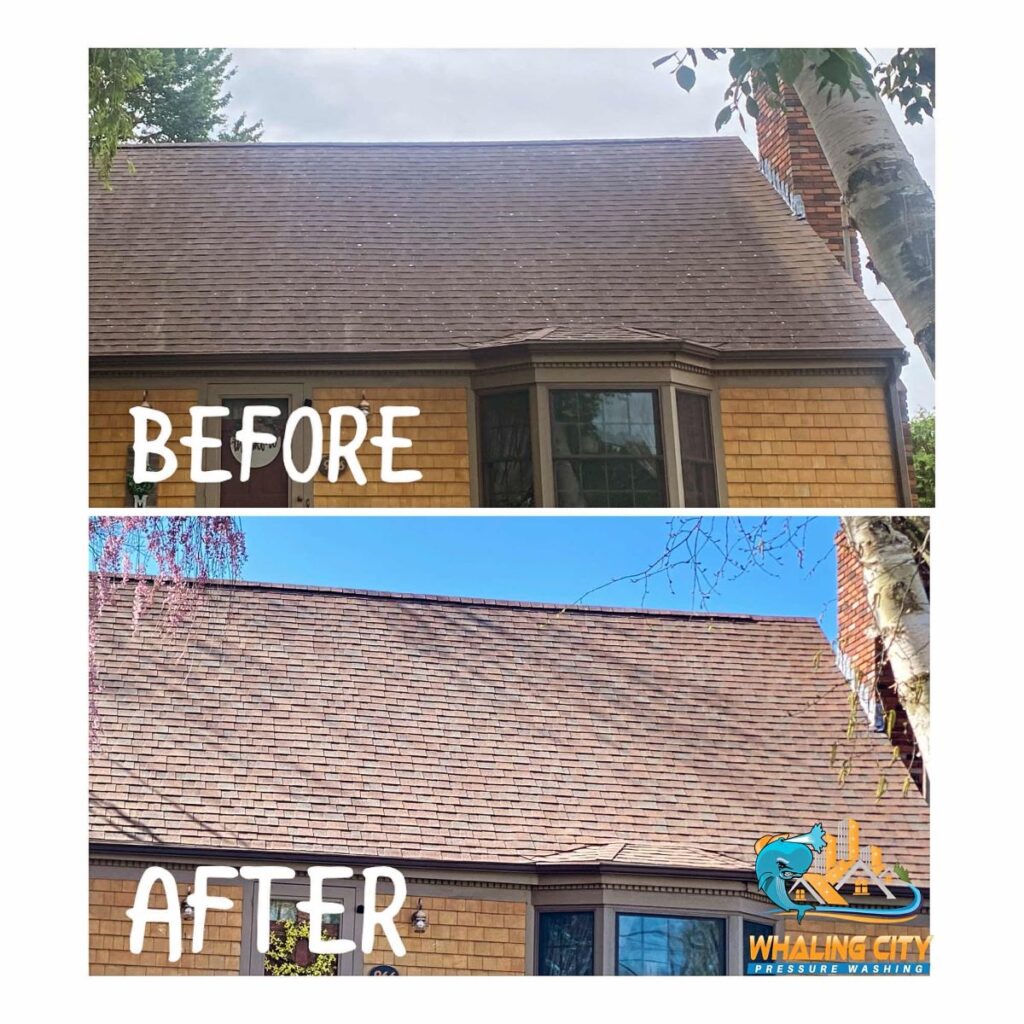 Roof Washing Before/After