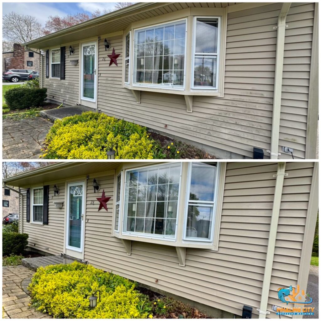 House Washing Before/After